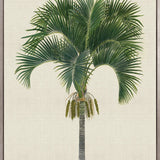 Kebaya Palm I (Canvas)
