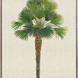Kebaya Palm IV (Canvas)