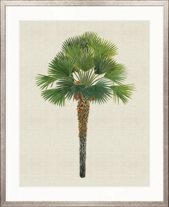 Kebaya Palm IV