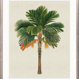 Kebaya Palm VI
