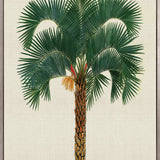 Kebaya Palm VIII (Canvas)