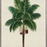 Kebaya Palm XI (Canvas)