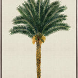 Kebaya Palm XII (Canvas)