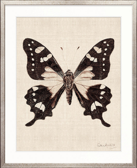 Fanciful Butterfly VII