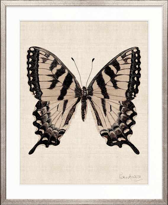 Fanciful Butterfly IX