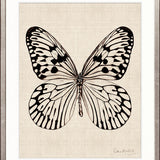 Fanciful Butterfly X