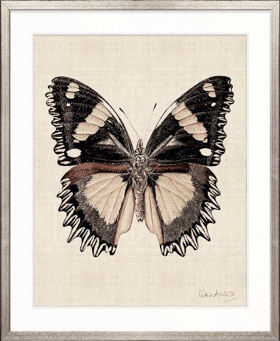 Fanciful Butterfly XI