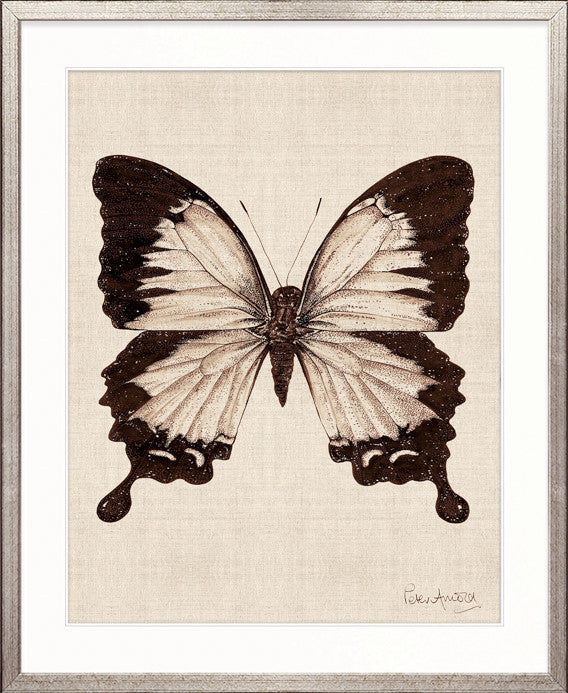 Fanciful Butterfly XII