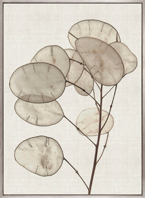 Kivu Seedpods II (Canvas)