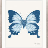 Fanciful Butterfly I