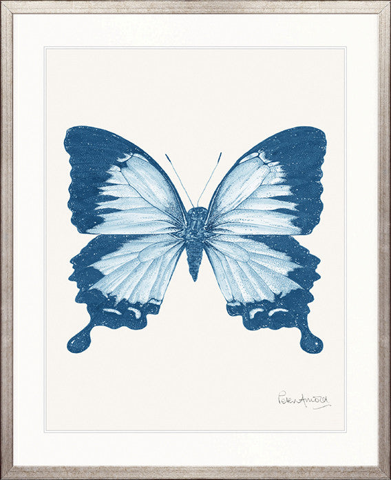 Fanciful Butterfly I