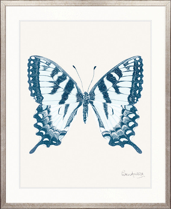 Fanciful Butterfly II