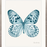 Fanciful Butterfly IV
