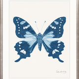 Fanciful Butterfly V