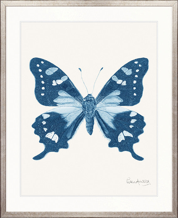 Fanciful Butterfly V