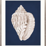 La Mesa Bay Shell I