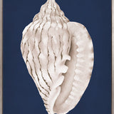 La Mesa Bay Shell I (Canvas)