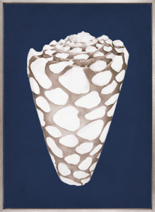 La Mesa Bay Shell II (Canvas)
