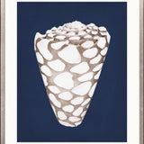 La Mesa Bay Shell II