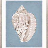 La Mesa Bay Shell IV