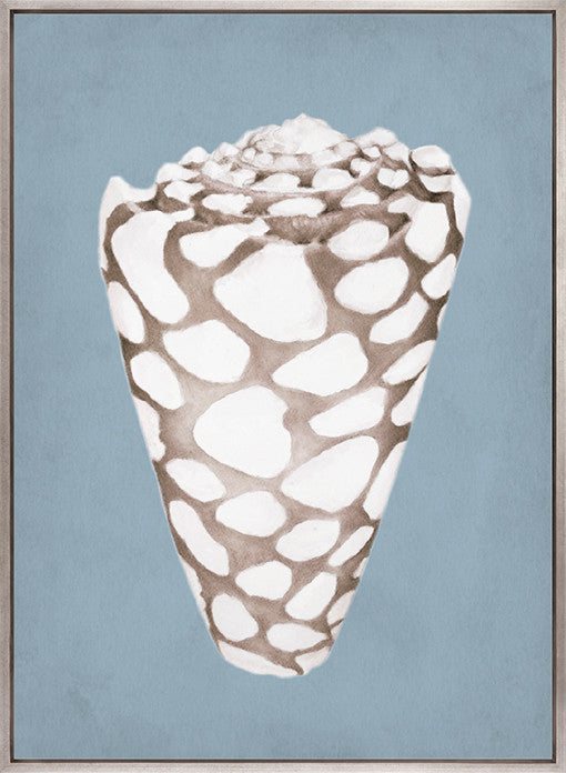 La Mesa Bay Shell V (Canvas)
