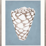 La Mesa Bay Shell V