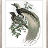 La Romieu Bird I