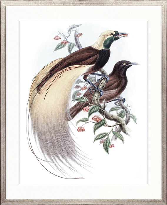 La Romieu Bird II