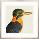 Enchanted Forest Bird I