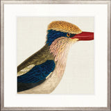 Enchanted Forest Bird IV