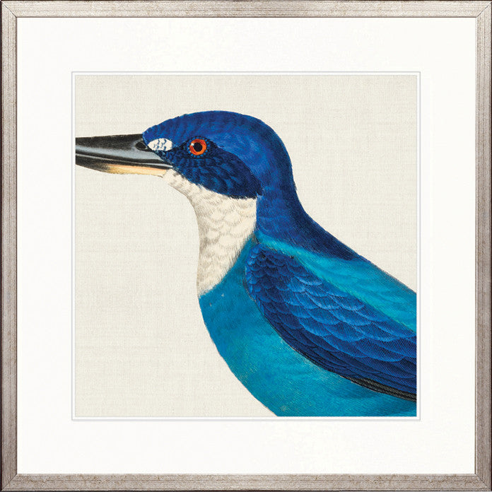 Enchanted Forest Bird V