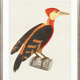 Enchanted Forest Bird VII