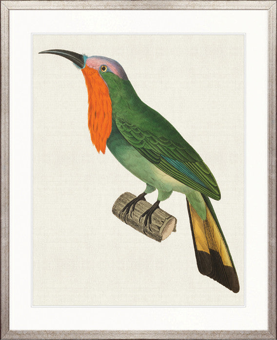 Enchanted Forest Bird XI