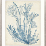 Seaweed Collage I (Pale Blue)