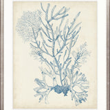 Seaweed Collage II (Pale Blue)