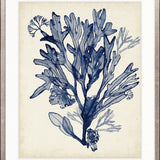 Seaweed Collage VI (Indigo)