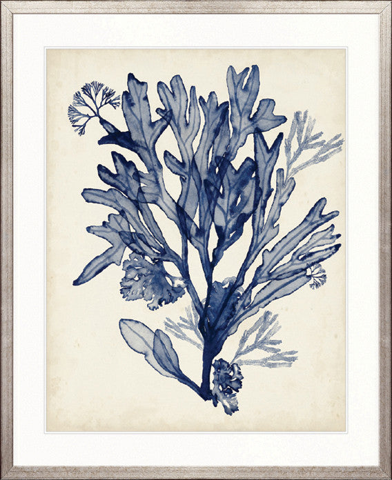 Seaweed Collage VI (Indigo)