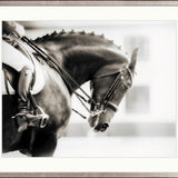 Equestre I