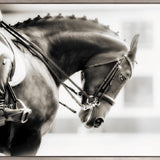 Equestre I (Canvas)