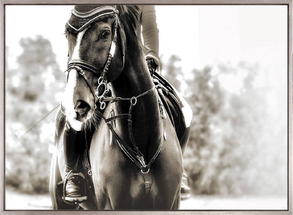 Equestre II (Canvas)