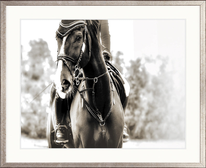 Equestre II