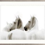 Les Chevaux II
