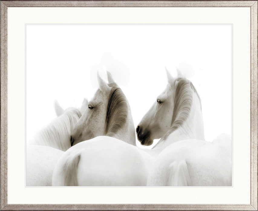 Les Chevaux II