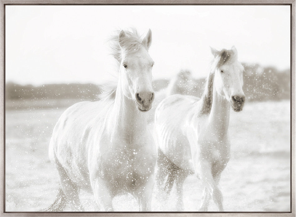 Les Chevaux VI (Canvas)
