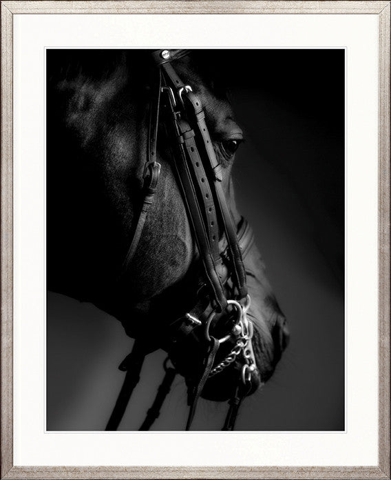 Les Chevaux IV