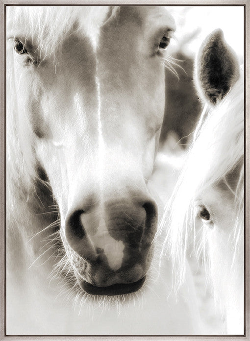 Les Chevaux VIII (Canvas)