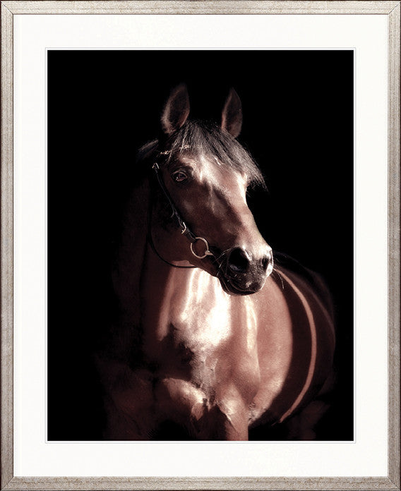 Les Chevaux VI