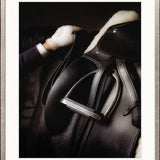 Equestre V