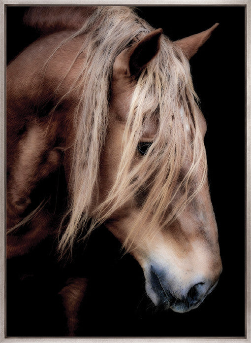 Equestre VI (Canvas)