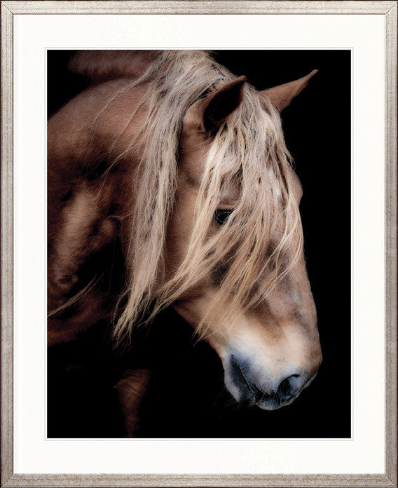 Equestre VI